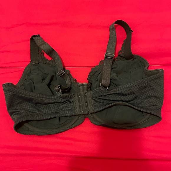 Forest Green Bra - Picture 2 of 4